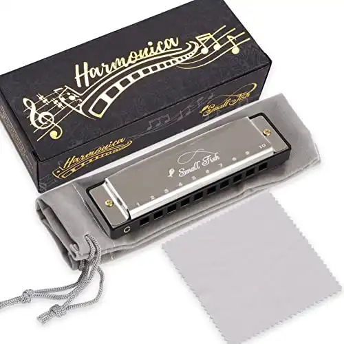 Harmonica for Kids and Adults