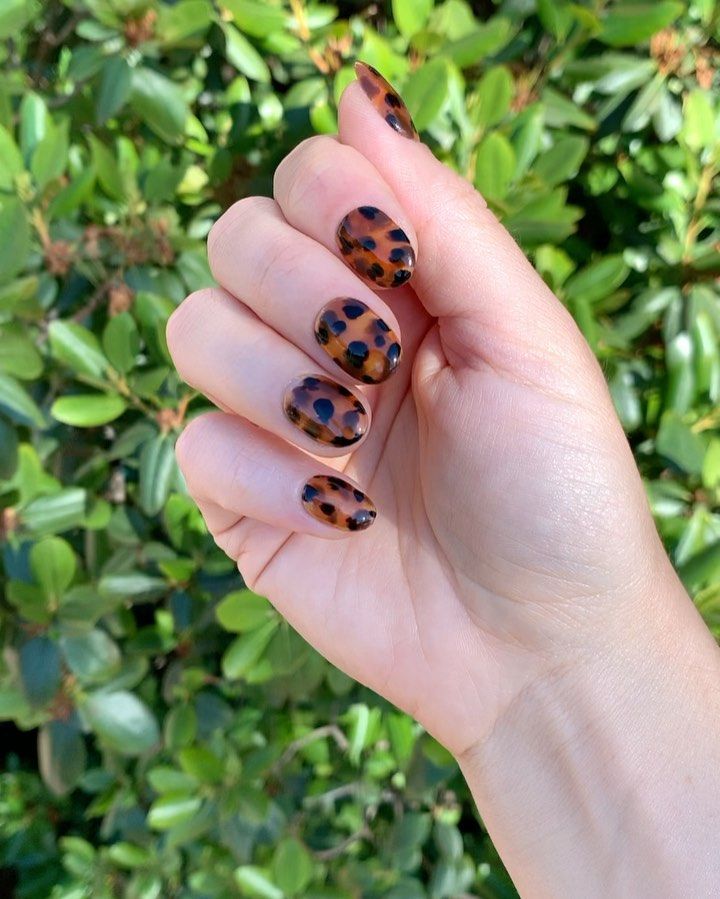 tortoise shell nails