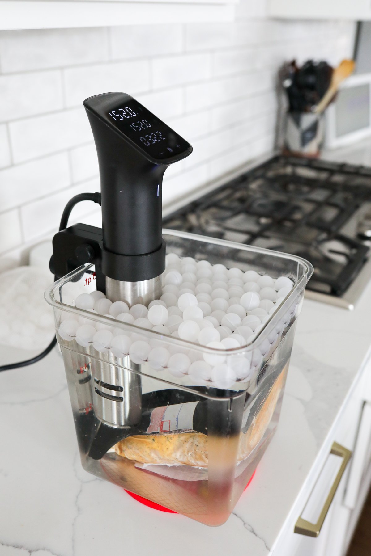 Anova Sous Vide Precision Cooker Pro in black and silver