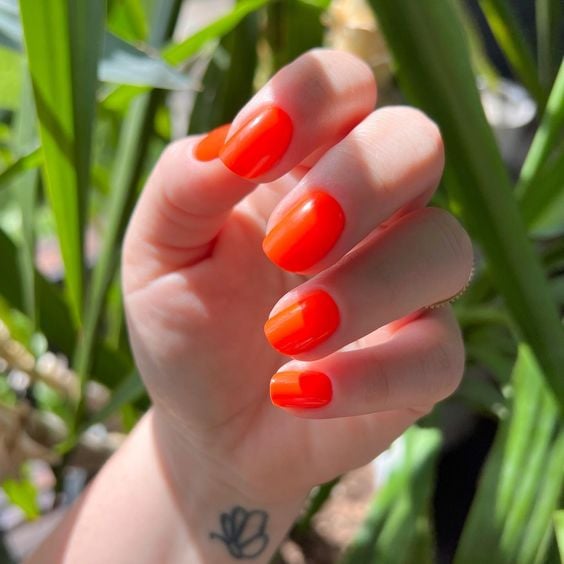 neon tangerine