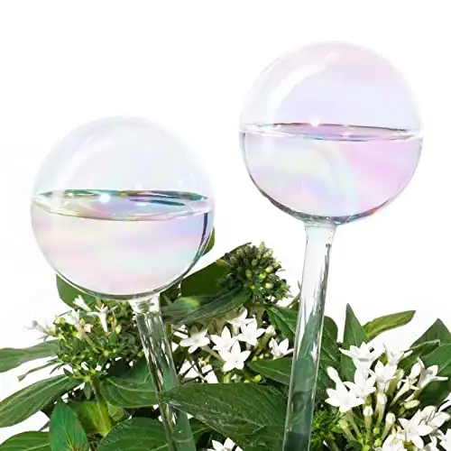 Iridescent Glass Self-Watering System Spikes