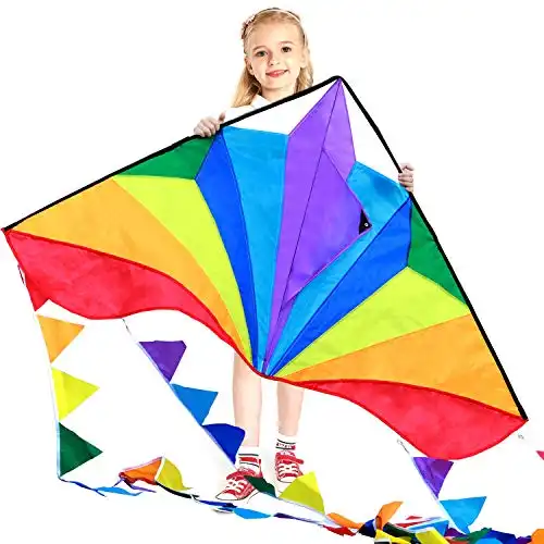 Large Kite for Kids & Adults
