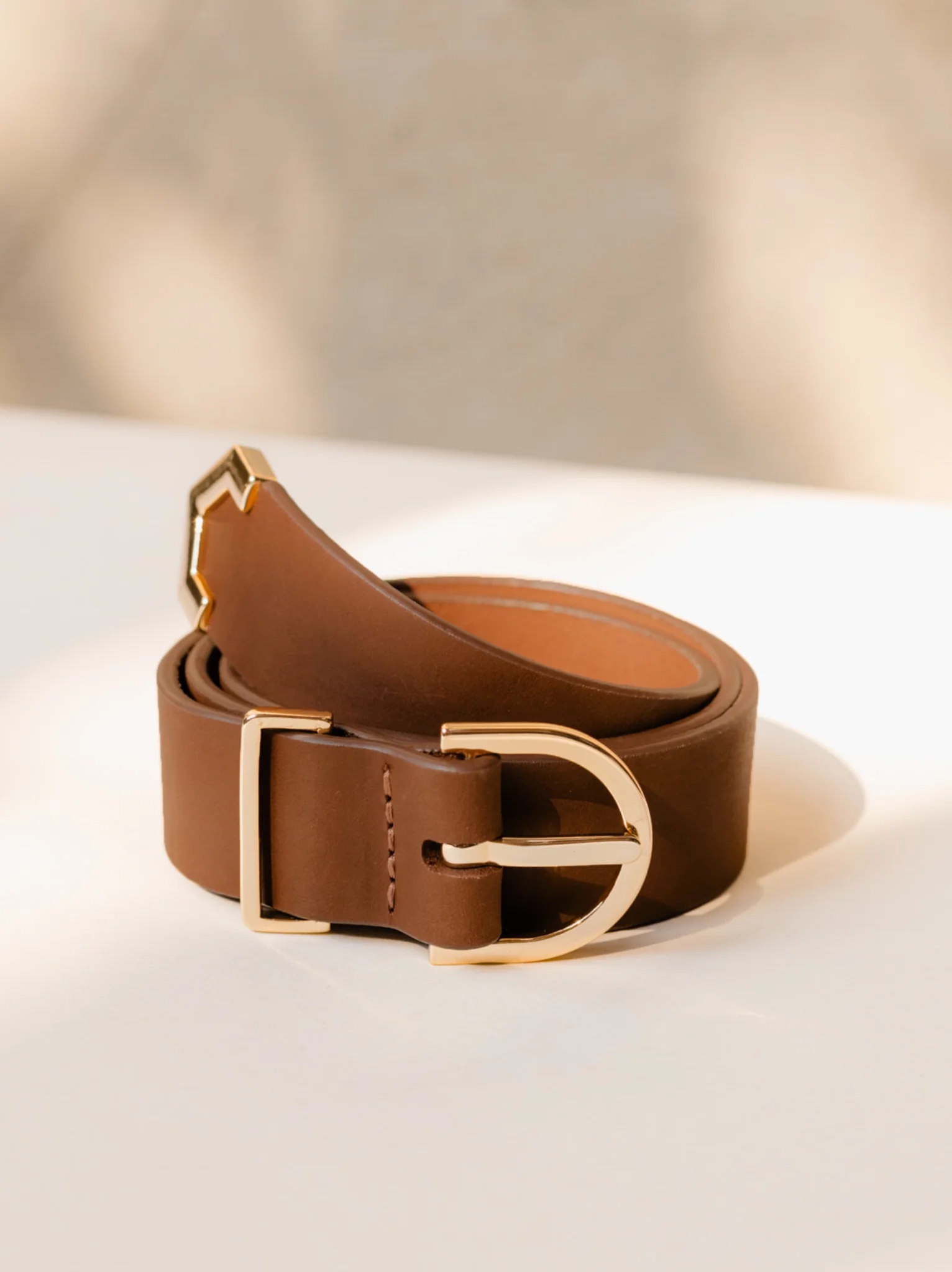 Ashlyn Belt ABLE