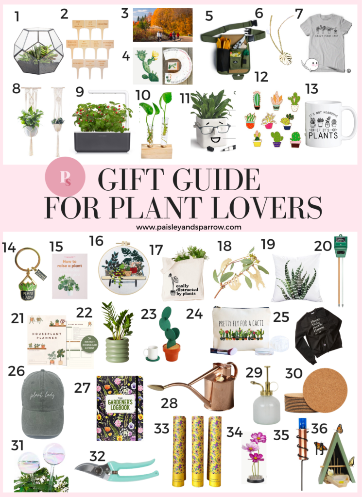 GIFT GUIDE FOR PLANT LOVERS