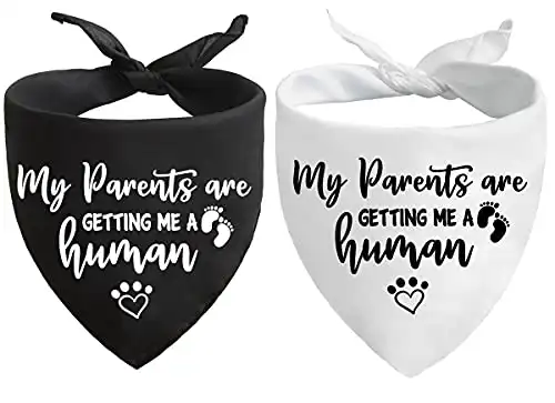 My Parents are Getting me a Human Dog Bandana