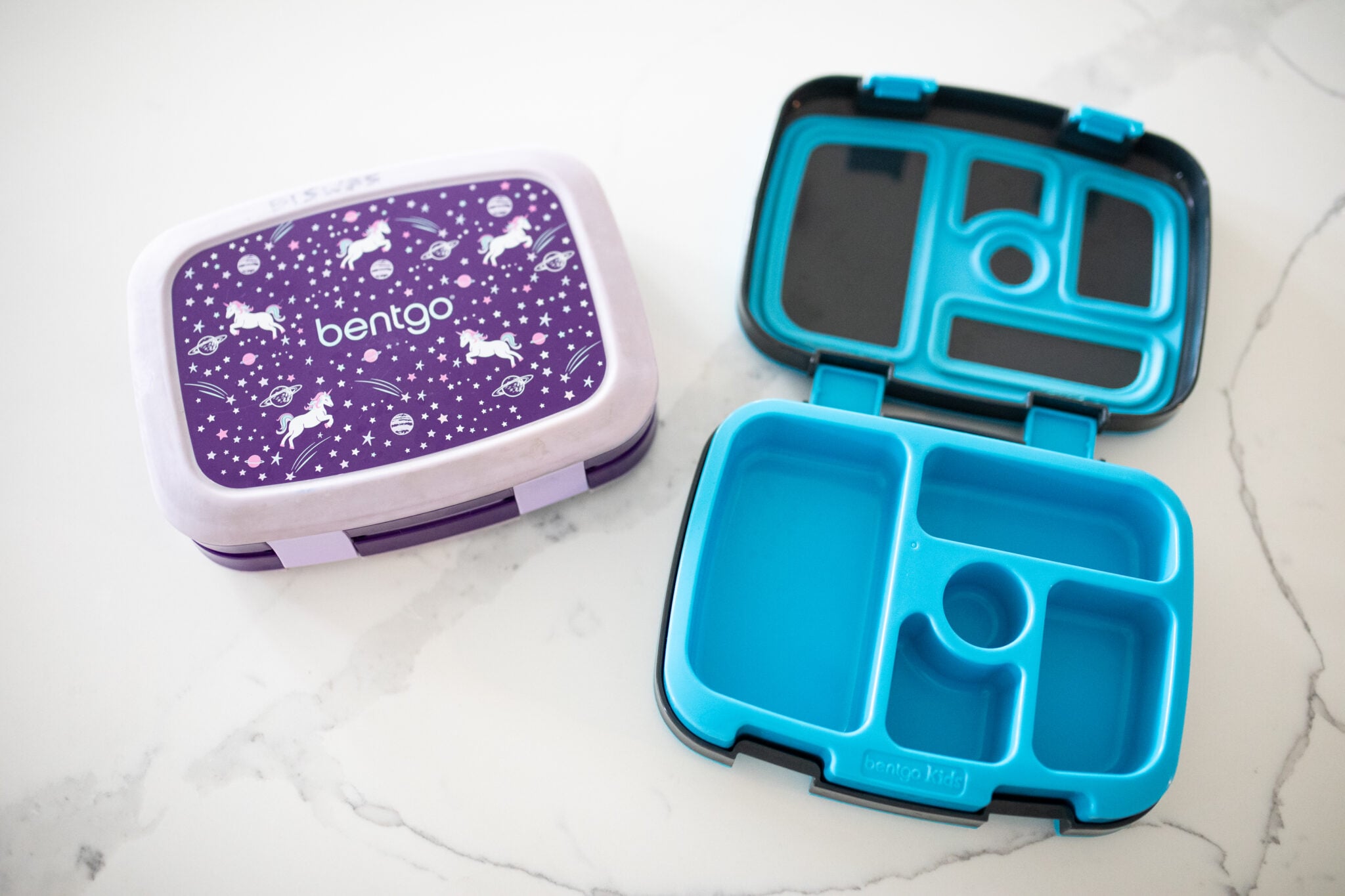 Purple and Blue Bentgo Lunch Box back to School Essential