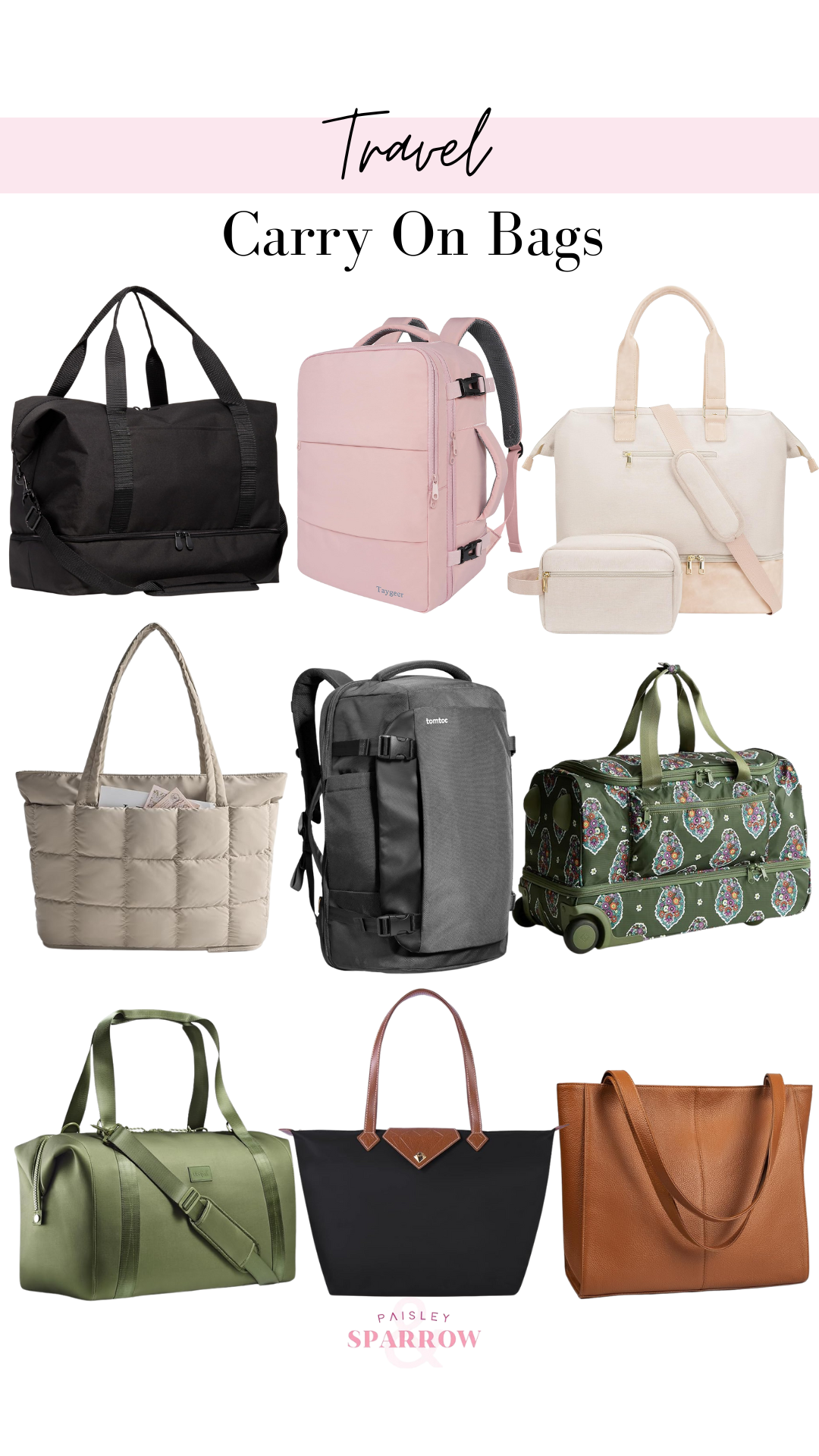 Pin Graphic of Carry On Bags